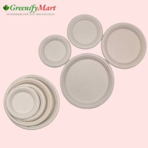 Disposable Birthday Paper Plate